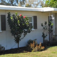 St. Pete Home Inspection Client Saved $2000/Year!